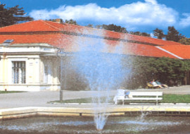 napoleonspa.jpg (22908 bytes)