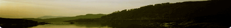 Landscape Picture