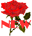 N E W !
