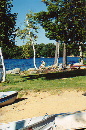 Summer reading (Click fopr larger)