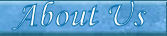 services we offer