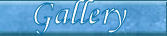 contact page