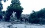 Arroyo de Guadalupe
