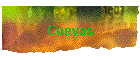 Cuevas