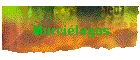 Murci�lagos