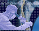 Ankylosing Spondylitis Research