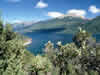 parque nacional los alerces