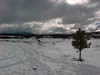 nevada con sol