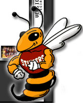 CONCORDIA STINGERS