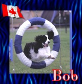 Bob