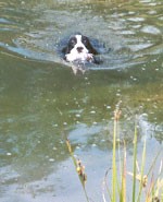 Bob doing his water test