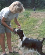 Bob giving his duck to his handler, Michelle