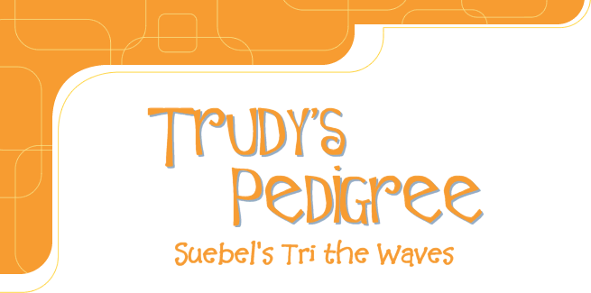 Bob n' Trudy