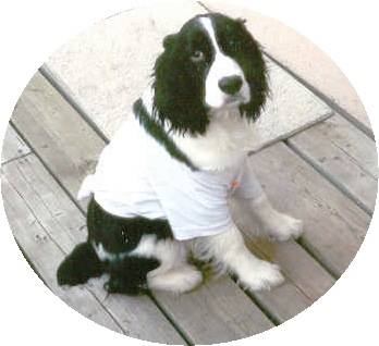 Trudy in her t-shirt