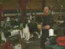 Bryden N Malysse Taboo