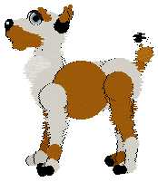 Setter has a better pose but I can't find it!! He's Tres's son. See what I mean about orange pups?