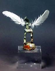 Wings in the Sand: Looking