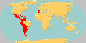 Carte du monde