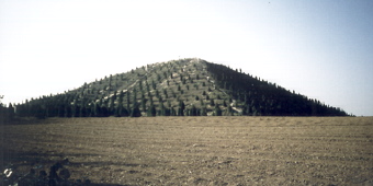 kinaf4.jpg (28189 bytes)