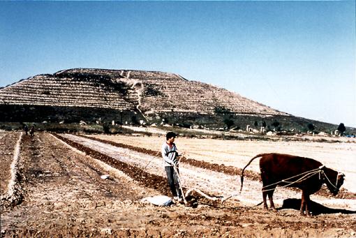 kinaf3.jpg (142849 bytes)
