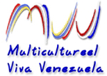 Organizacion de Venezolanos en Holanda