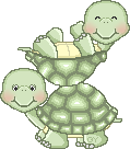 ccmturtle12.gif