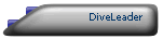 DiveLeader