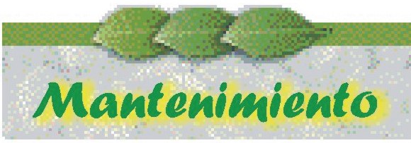 mantenimiento