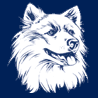 UCONN HUSKIES