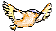 ocell