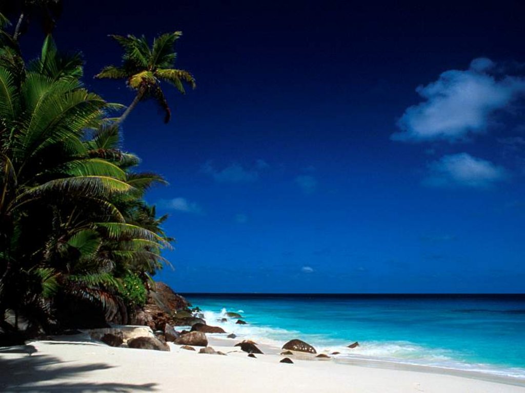 fiji-coastline