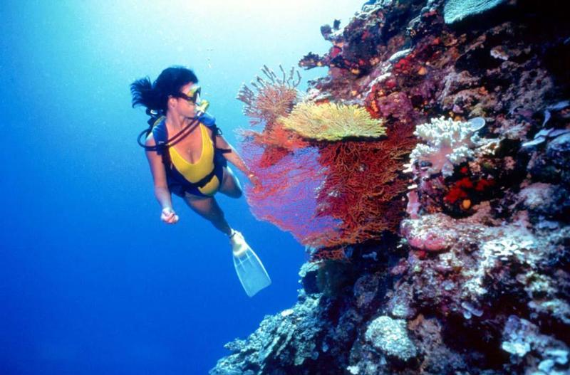 Scuba Diving Girl looking at Coral