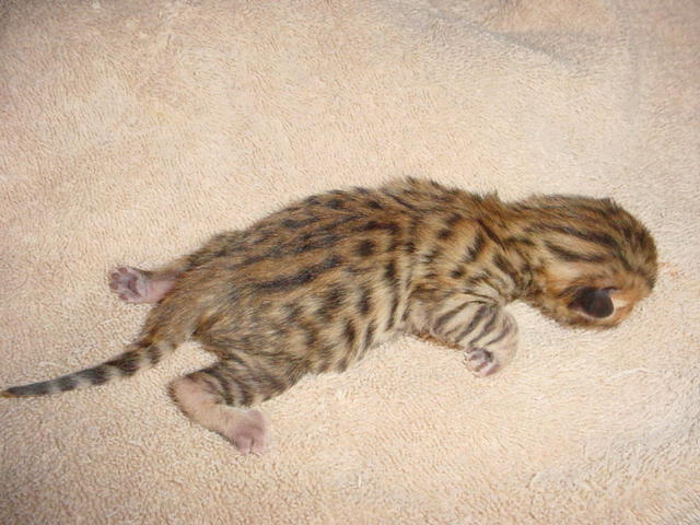 Boy 1