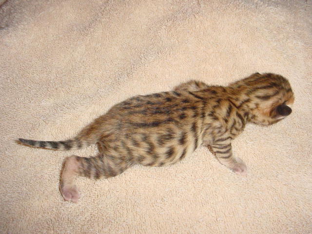 Boy 3