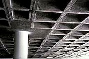 IMG0077.jpg