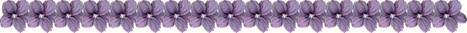 /user/violetbanner.gif
