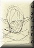 hosinrostro.jpg