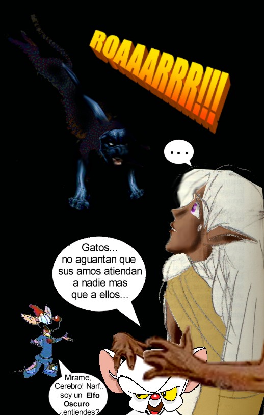 exibraines.jpg