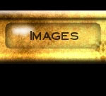 Lotsa Pictures