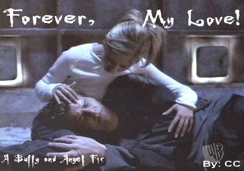 Forever, My Love <B/A Fic>
