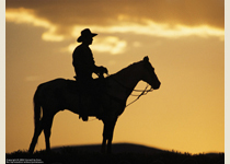 Cowboy on Horse with sunset behind him