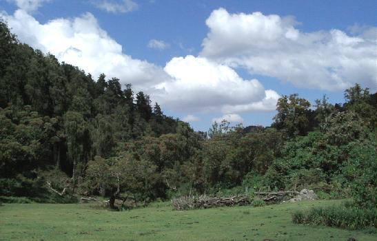  Corral, near a farmhouse 