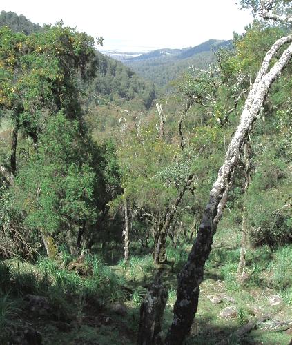  Looking down the valley towards Dodola 