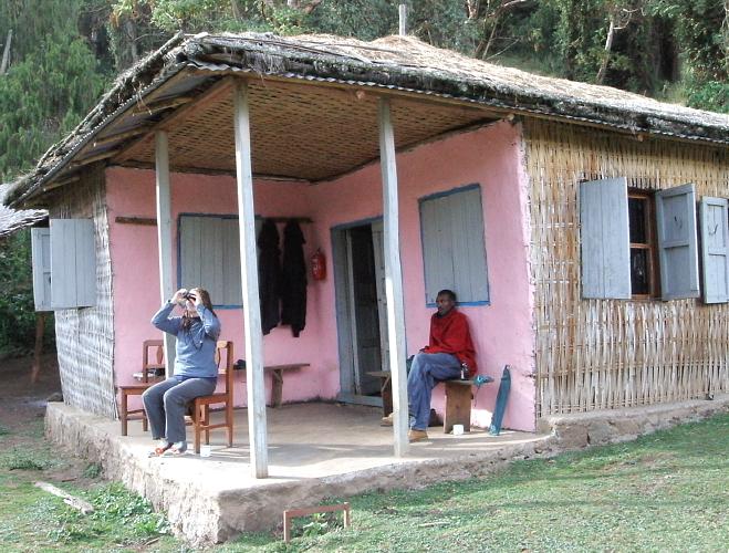  Bird-watching heaven - Mololicho 
