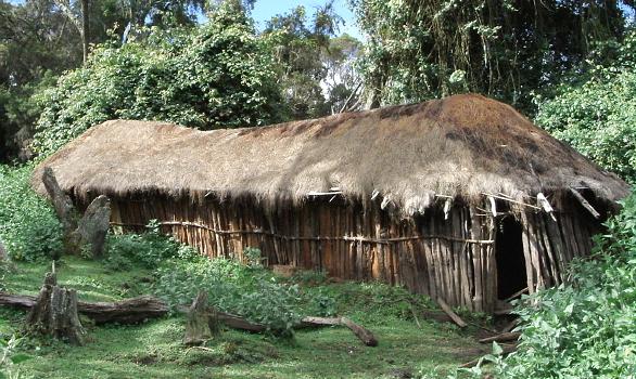  Farmhouse 