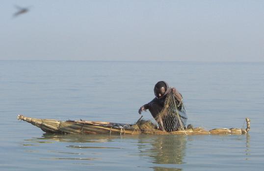  Fishing from a reed boat on Lake Tana 