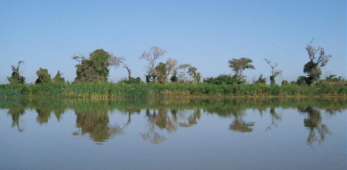  Calm morning waters 