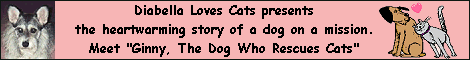 Visit Diabella Loves Cats
