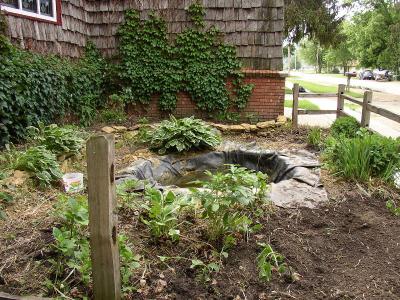 Pond01