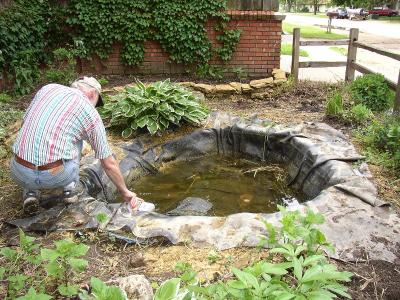 Pond02